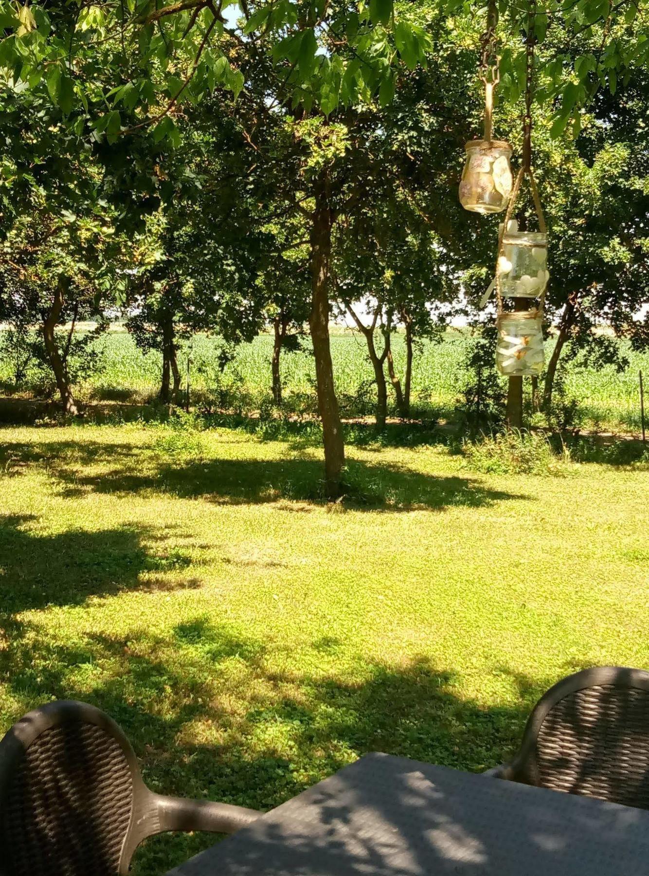 La Barchessa Country House بودريو المظهر الخارجي الصورة